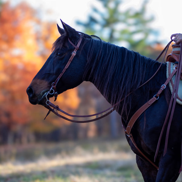 Shires Velociti Breast Collar