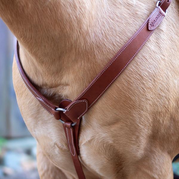 shires Velociti Breast Collar