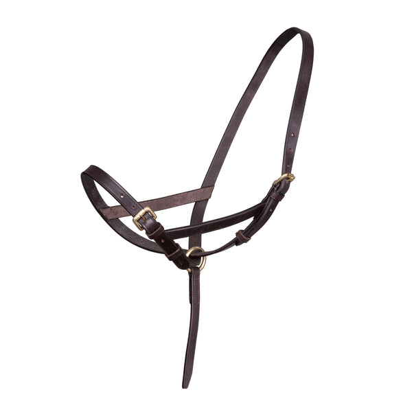 shires Velociti GARA Leather Foal Slip