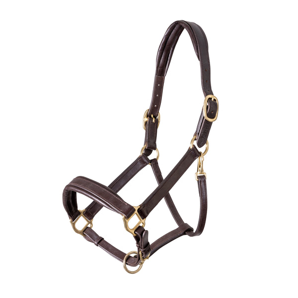 shires Velociti GARA Leather Travel Headcollar