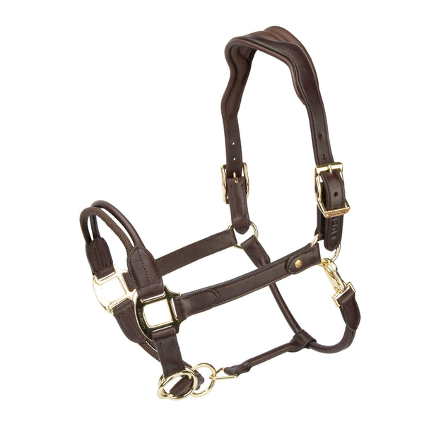 shires Velociti Lusso Soria Leather Headcollar