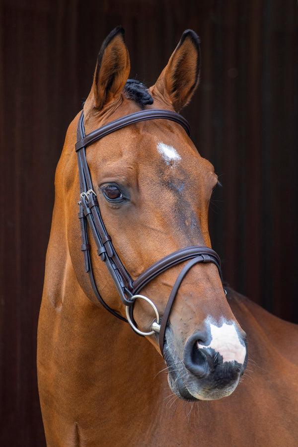 shires Velociti Padded Raised Flash Bridle