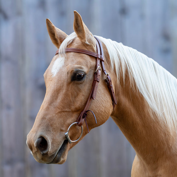 shires Velociti Browband Headstall with Rawhide Knotting