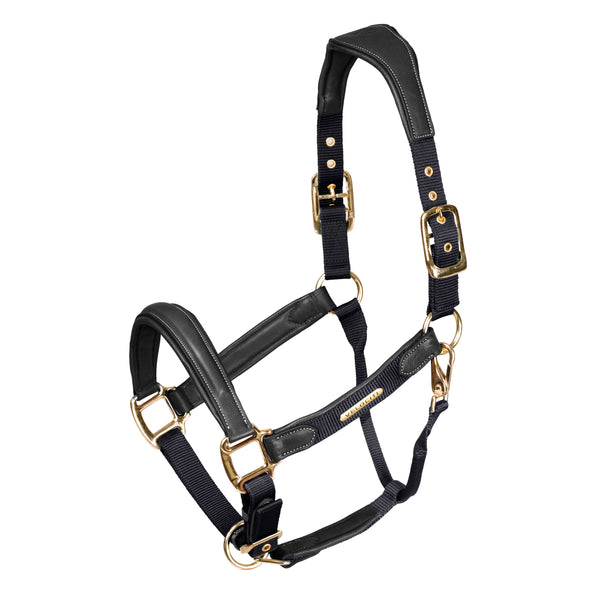 shires Velociti Lusso Padded Leather Halter with Breakaway