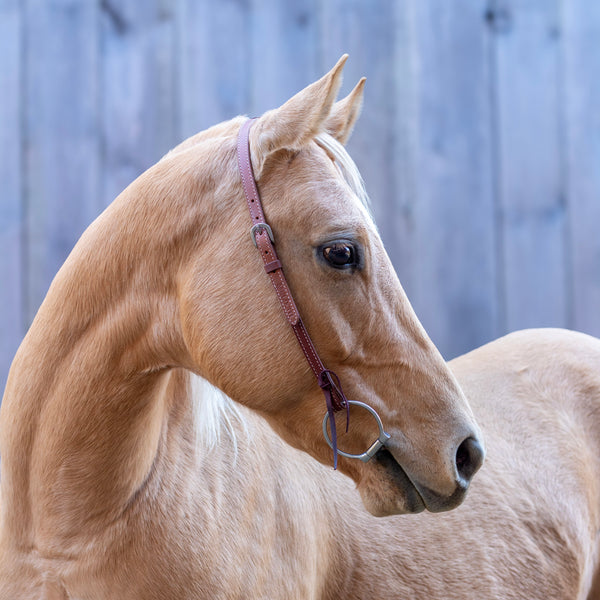 Shires Velociti One Ear Headstall With Rawhide Knotting