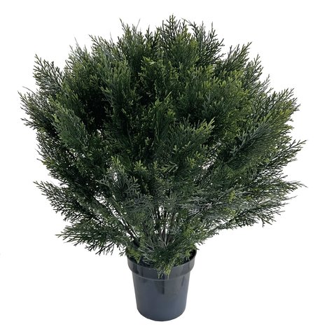 shishi Cedar ball in plastic pot d70cm UV RESISTANT