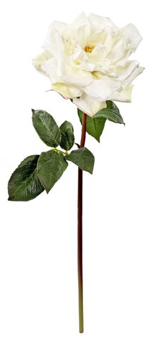 shishi English rose open cream with pink touch 54cm