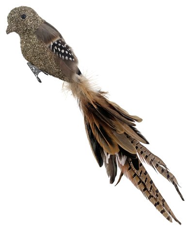 shishi Feather bird gold glitter head and body pheasant tail 37cm