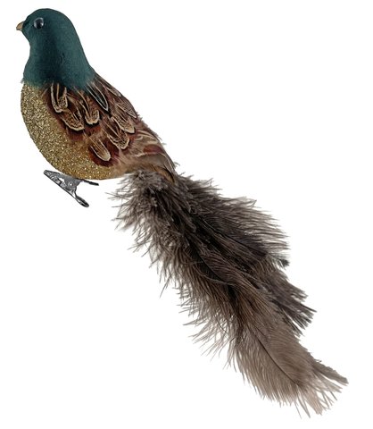 shishi Feather bird green head gold glitter body ostrich tail 36cm