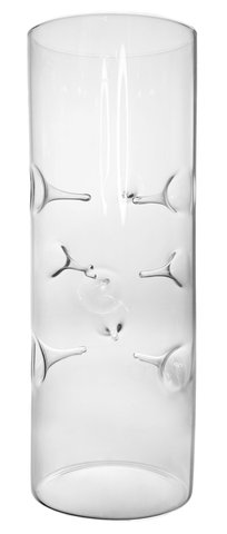 shishi Glass cylinder vase with pressed flowers clear d8 5;h25cm