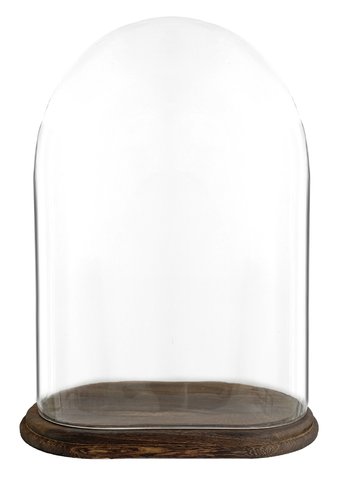 shishi Glass dome ovel 33 5x21x48 5cm dark brown base