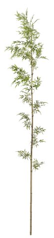 shishi Natural bamboo with artificial leaves 5m (KD packing)