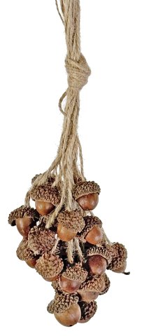 shishi Acorn bundle x 25 ornament natural 18cm