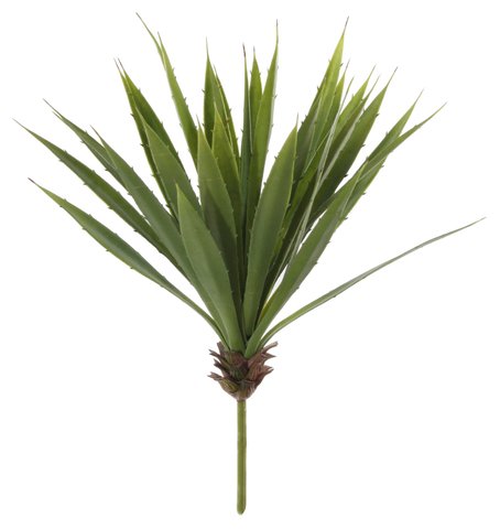 shishi Agave green 43cm