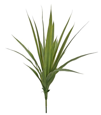 shishi Agave plant green 100cm