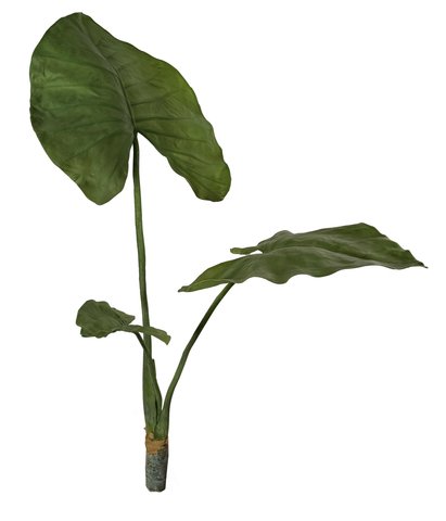 shishi Alocasia green 95cm