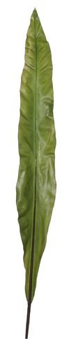 shishi Apista leaf green 105cm