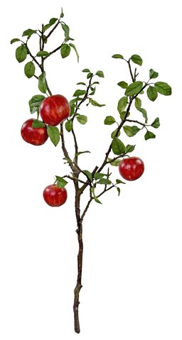 shishi Apple branch 95cm
