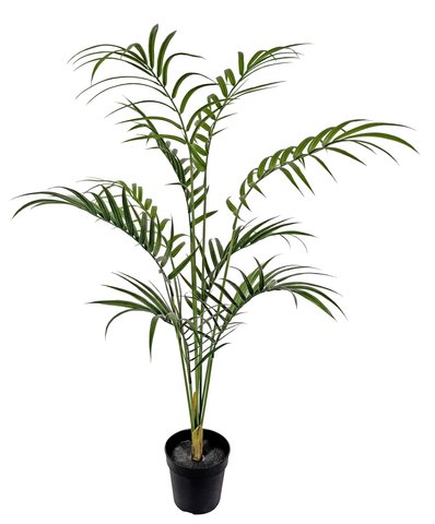 shishi Areca palm in pot green 110cm