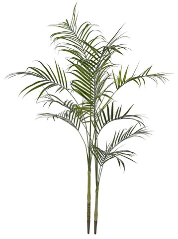 shishi Areca w/out pot 1 8m UV RESISTANT