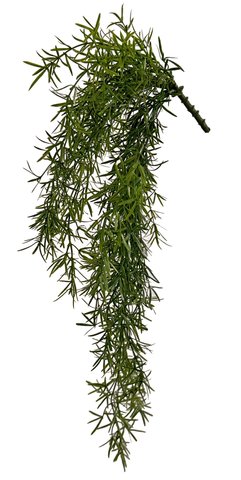 shishi Asparagus hanging green 50cm UV RESISTANT