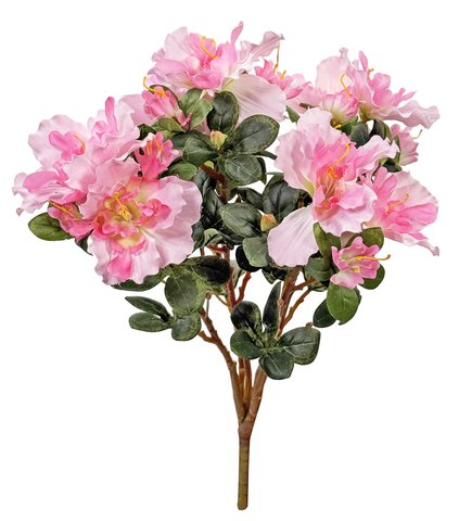 shishi Azalea bush UV-proof lt pink