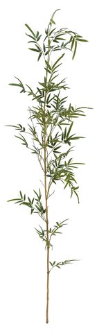 shishi Bamboo branch with leaves 210cm