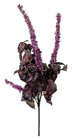 shishi Basil flowering purple 32cm