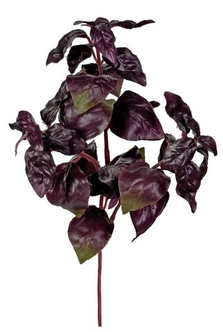 shishi Basil pick purple 25cm
