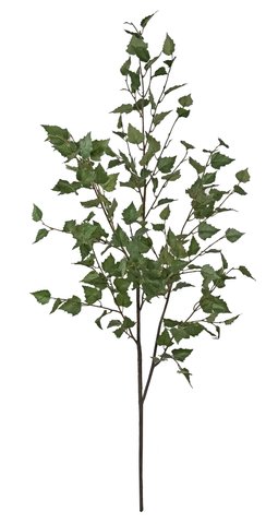 shishi Birch branch green 136cm