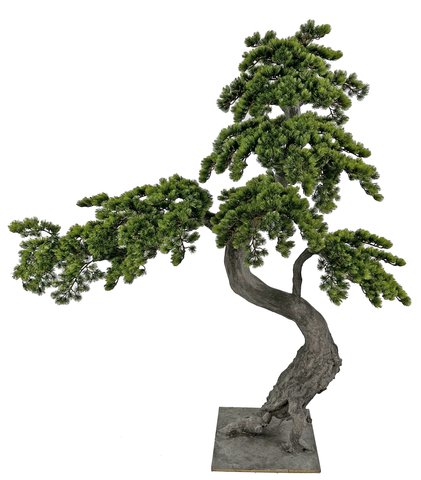 shishi Bonsai green 160cm