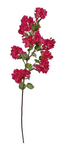 shishi Bougainvillea pink 120cm