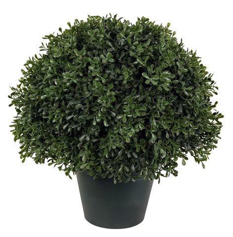 shishi Boxwood ball d43cm UV RESISTANT