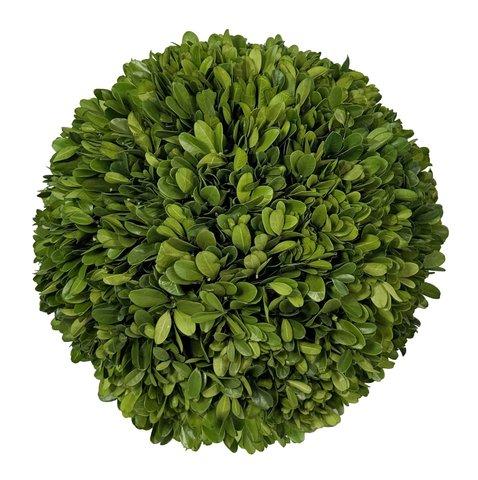 shishi Boxwood ball preserved 25cm
