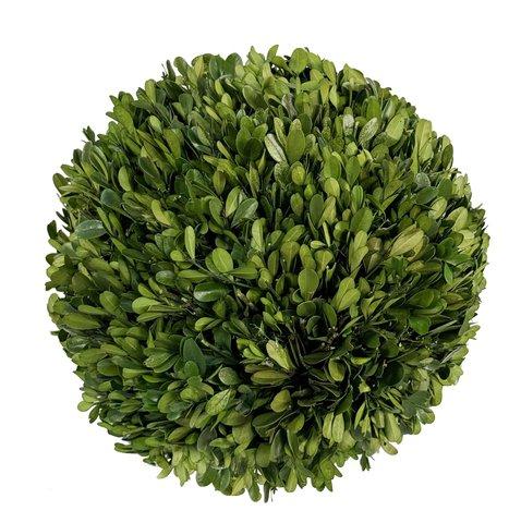 shishi Boxwood ball preserved 30cm