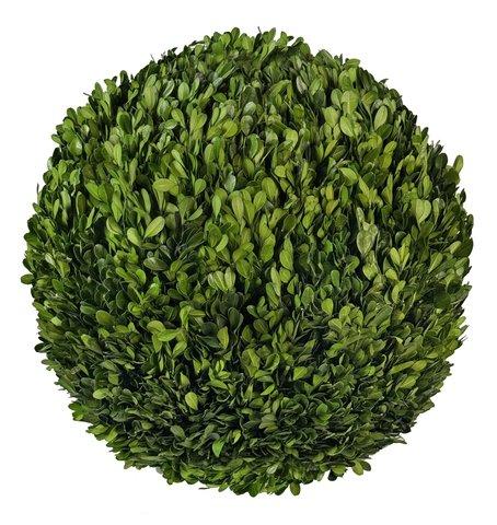 shishi Boxwood ball preserved 40cm