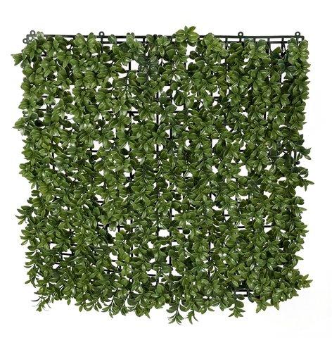 shishi Boxwood plate 50x50cm