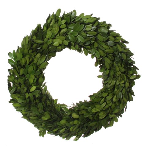 shishi Boxwood wreath preserved 30cm