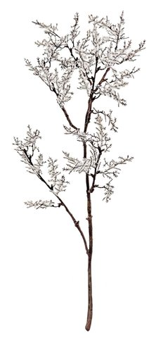 shishi Branch with frost 74cm