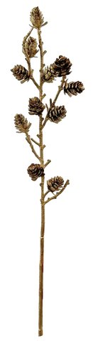 shishi Branch with larix cones gold 44 5cm