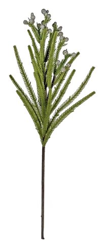 shishi Brasilia stem small berries 55cm