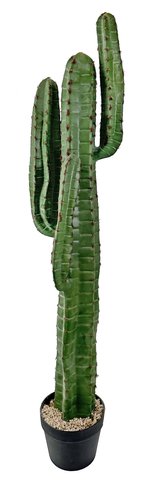 shishi Cactus potted green 110cm