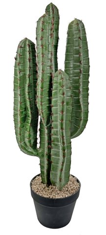 shishi Cactus potted green 75cm