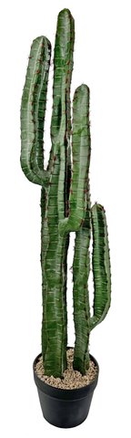 shishi Cactus potted green 97cm