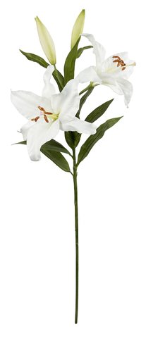shishi Casablanca lily x2 with bud white 1m