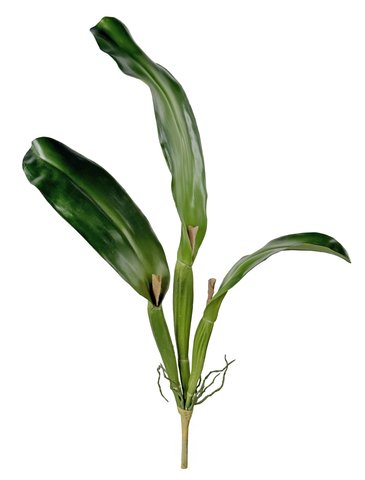 shishi Cattleya leaf green h63cm