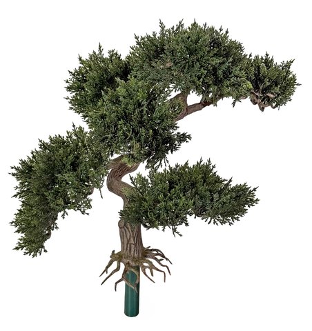 shishi Cedar bonsai green 50cm UV RESISTANT