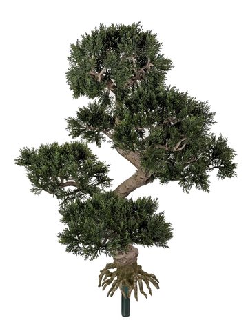 shishi Cedar bonsai green 65cm UV RESISTANT