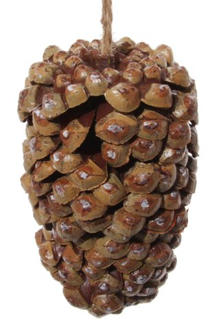 shishi Cedar cone plastic 16cm