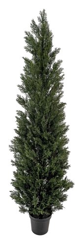 shishi Cedar potted 2 1m UV RESISTANT